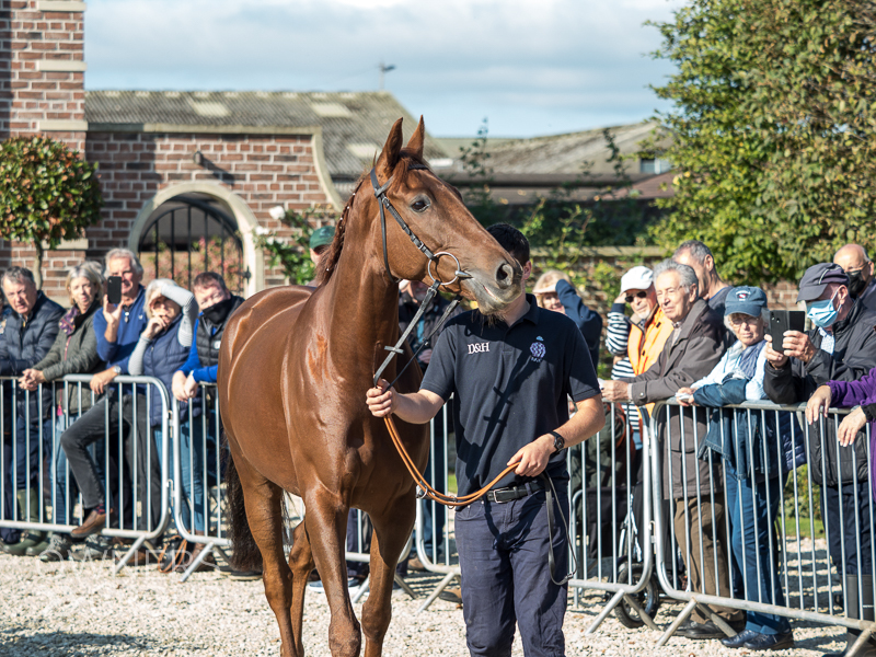 Paul Nicholls Visit - 9 October 2021